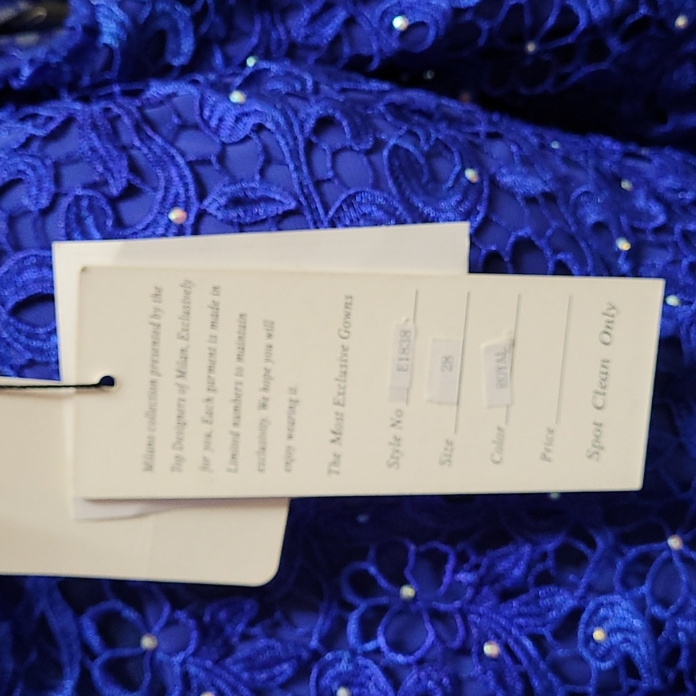 Dress - Picture 6 of 7
